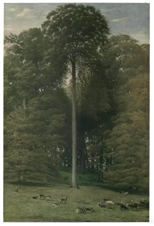 QUEEN BERCH AT ASH RIDGE