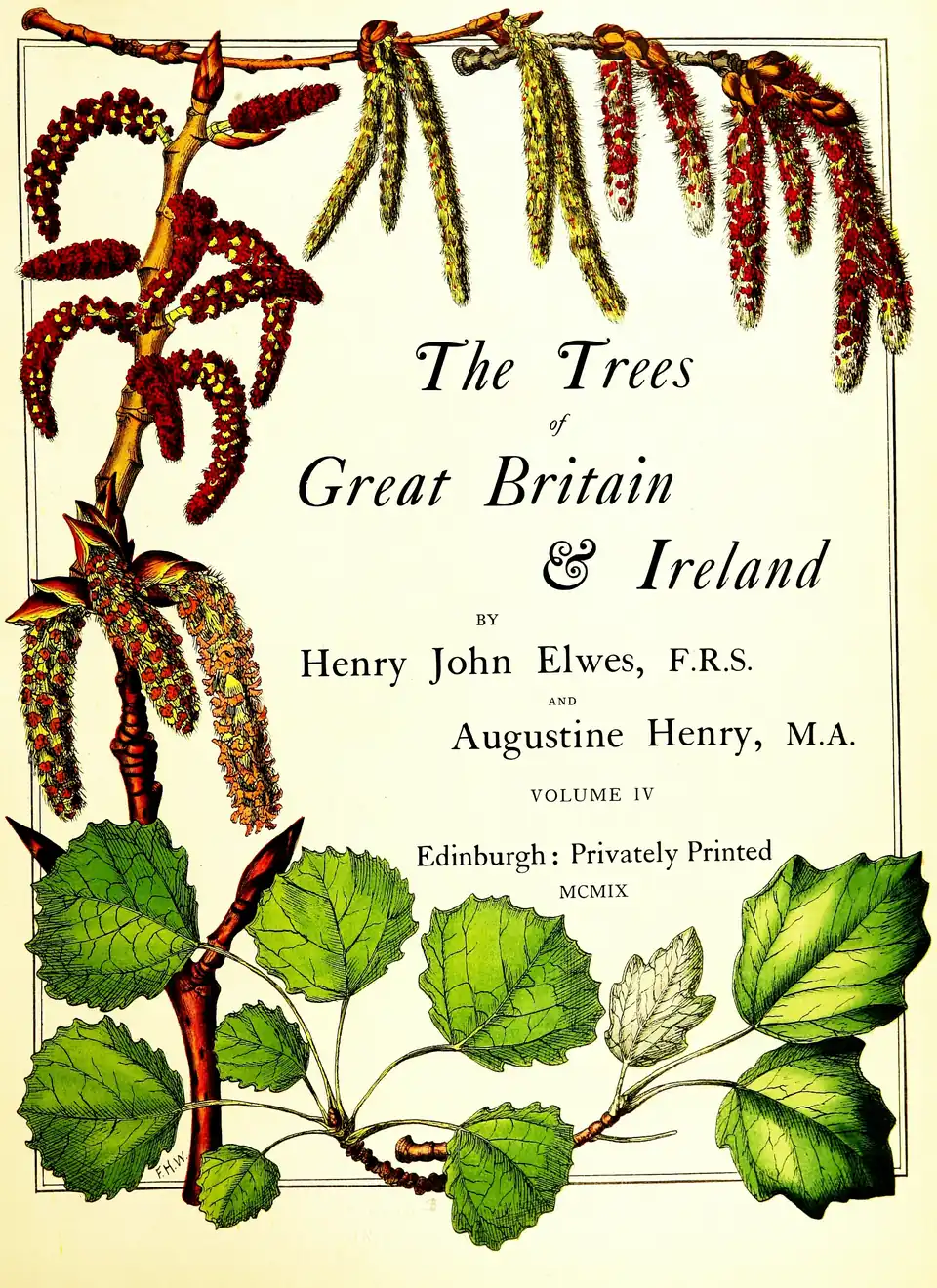 The Trees / of / Great Britain / & Ireland / BY / Henry John Elwes, F.R.S. / AND / Augustine Henry, M.A. / VOLUME IV / Edinburgh: Privately Printed / MCMVIX