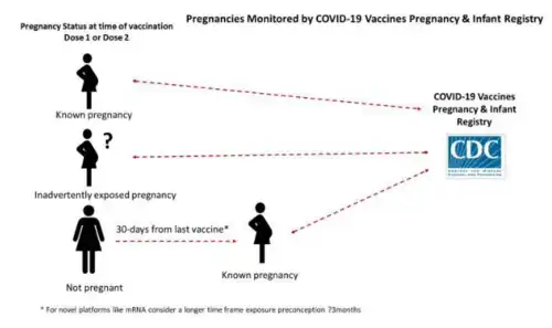 Figure 1. Entry into the v-safe pregnancy registry