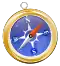 Compass icon
