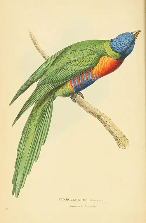 Plate 92.