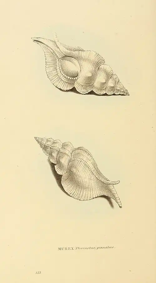 Plate 122.