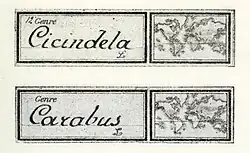 label