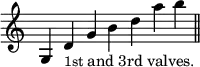 { \override Score.TimeSignature #'stencil = ##f \time 7/4 \relative g { g4 d'_\markup { \smaller 1st and 3rd valves. } g b d a' b \bar "||" } }