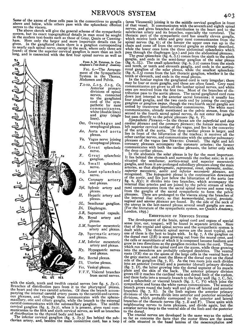 EB1911 - Volume 19.djvu