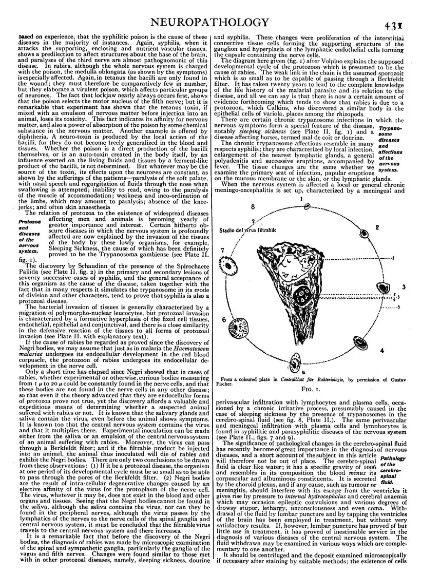 EB1911 - Volume 19.djvu