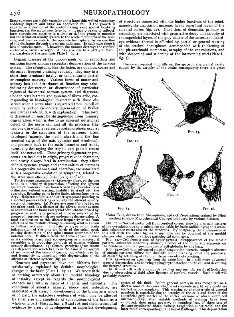 EB1911 - Volume 19.djvu