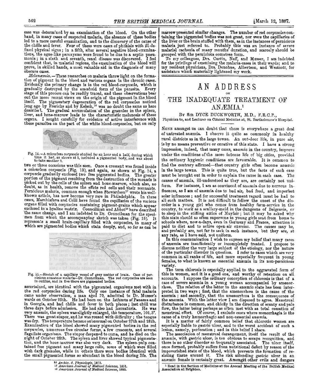 Fig. 14—A colourless corpuscle studied for an hour and a half, during which time it had, as shown at 1, included a pigmented body, and was about to take another 2.