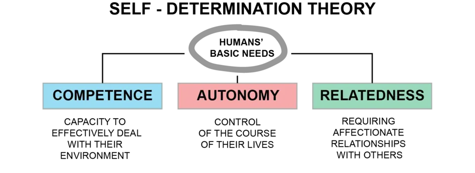 Basic needs model of self-determination theory (Deci & Ryan, 2000)