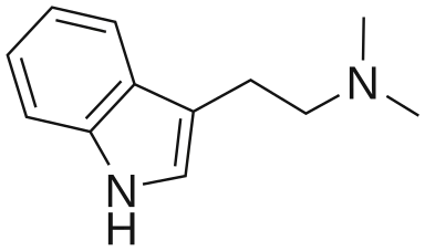 Chemical composition of DMT