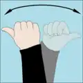 Which direction? A fist is make with one hand with extended thumb and the hand rotated on the axis of the forearm through 180° a few times to ask which way to go.