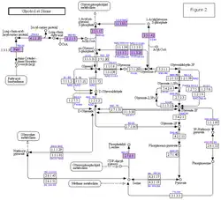 Figure 2. Analogous to Figure 1, according to the KEGG metabolic pathways. Here is a montage from several metabolic pathways to represent traffic between Serine, Glycerone, fatty acids and phospholipids:Fatty acid Biosynthesis, Fatty acid Metabolism, Glycerolipid Metabolism, Glycerophospholipid Metabolism et Glycolysis.