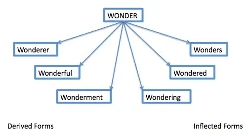 Figure 6 – The Morphological Model (adapted from Voga and Grainger, 2007)