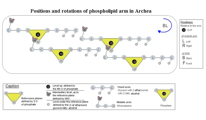Drawing 2. See drawing 1 for caption.