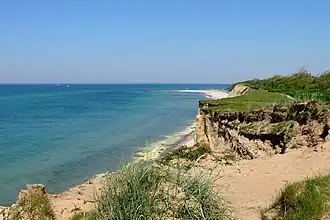 A steep coastline and beach that's lined with green grass