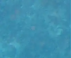 Assessing depth through a mask at the surface. About 25 m , ideal to start a dive on the top of the Edge.