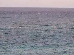 Photo of rarely seen lines of turbulence over inner and outer reefs.
