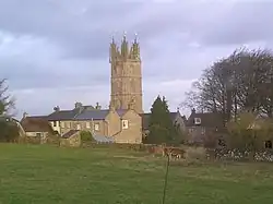 Yellow stone church tower above other buildings of the same stone. In the foreground is a grassy field with cows