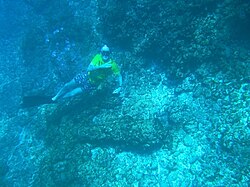 Then across to a smaller cannon nearby.