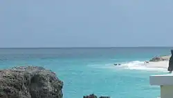 Horses enjoy a cooling swim inside the reef on a calm August day viewed  from Bel Air.