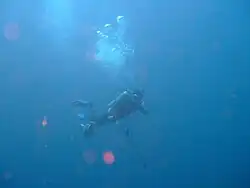 Korey in action at 28 m down the Fathom off GAIA in December 2013.