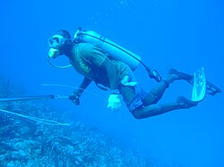 Depth gauge, contents gauge,watch. No compass, no computer, no BC, no weight belt, no wet suit, no octopus regulator.