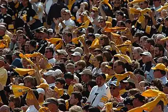 A large crowd of Steelers fans with golden towels
