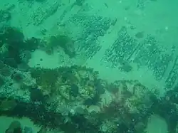 Planking of the Brunswick