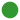 Green circle
